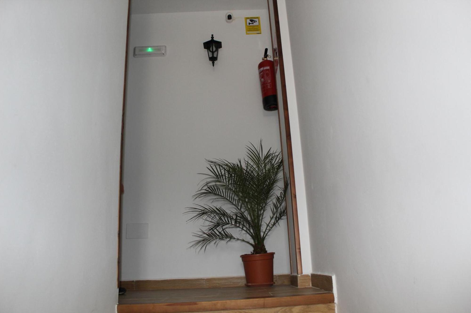 Ninfa De La Sierra Apartment Riópar Exterior foto